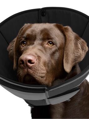 ComfortFit Black Dog Recovery Cone - Protective XL Cone